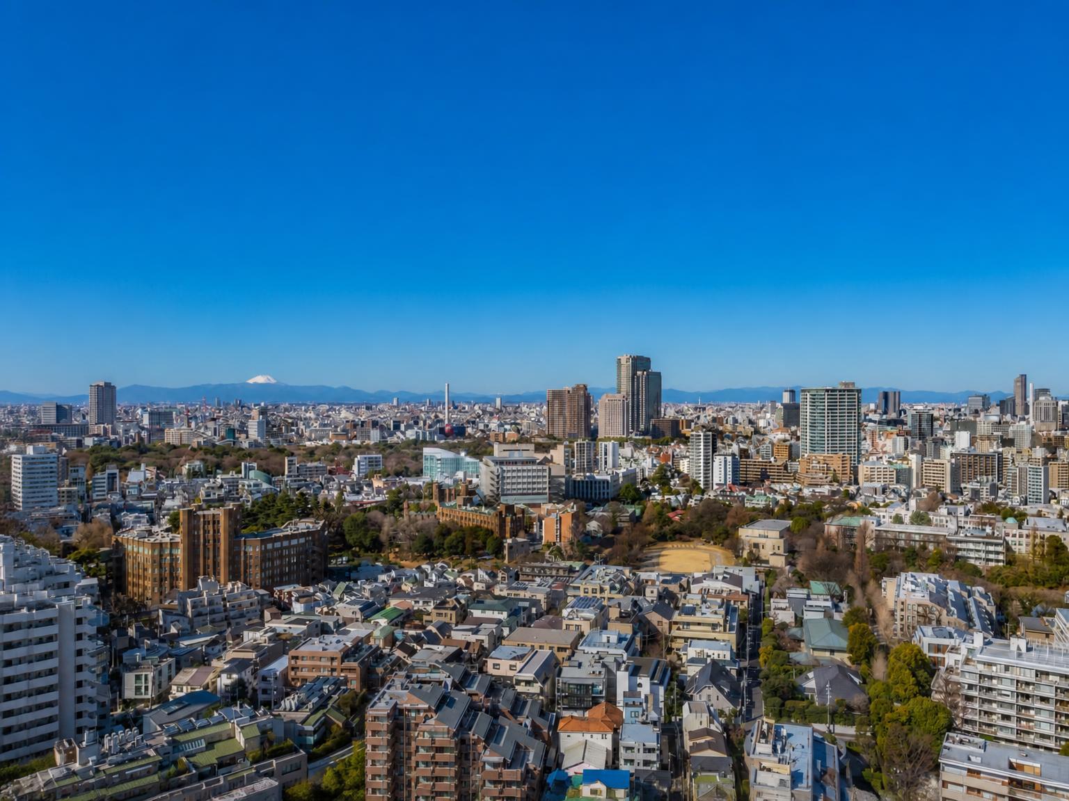 The Parkhouse Shirokane 2-Chome Tower — photograph 3