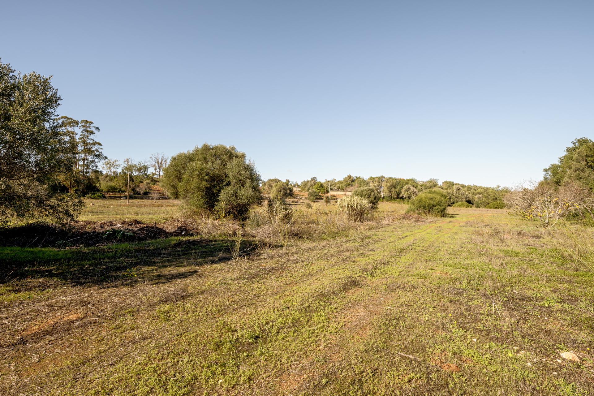 Land in Silves — photograph 2
